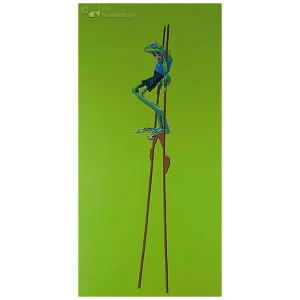 Rhacophorus Nigropalmatus