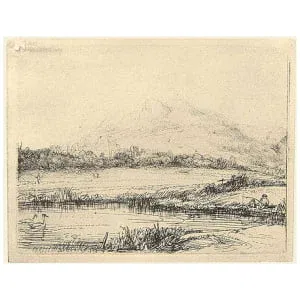 Visser in berglandschap