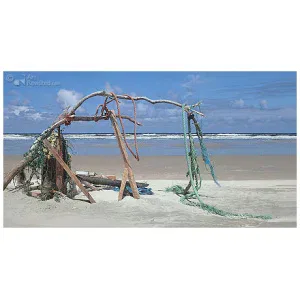 Touwtje vangt de wind