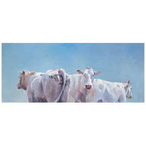 Twee koeien en een stier