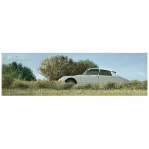 Op de oude Bildtzijldijk, Citroën ID 19b, 1967