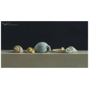 Schelpen stilleven