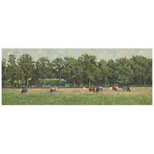 De dames van de Danckerse weg