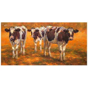 Drie kalveren in de ochtend