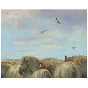 Paarden en boerenzwaluwen