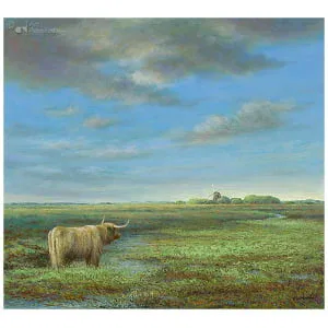 Hooglander in Groningen