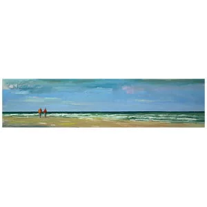 Noordzeestrand, Schiermonnikoog