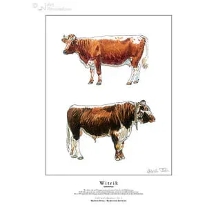 Witrik (dubbeldoeltype)