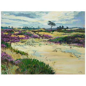 Kale Duinen of Aekingerzand, Appelscha