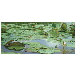 Tussen Storm en Schemer