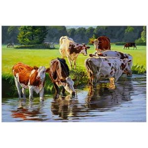 Roodbont vee langs de rivier