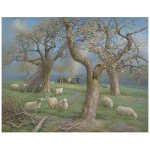 Schapen in de boomgaard