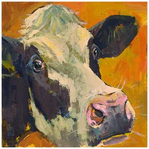 Zwartbonte koe tegen goud