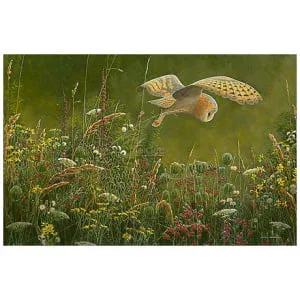 Kerkuil in avondlicht