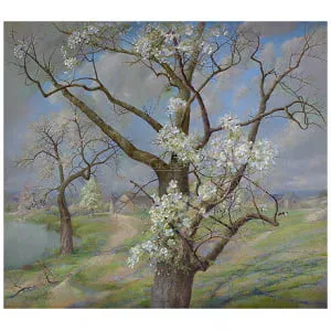 Bloeiende kersenboom