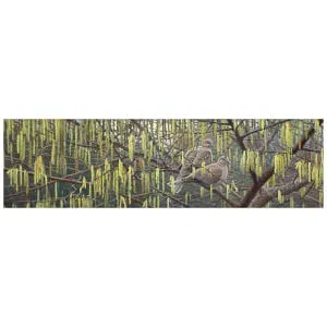 Turkse tortels in hazelaar