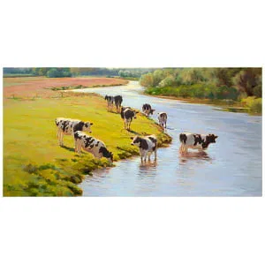 Jongvee bij de rivier