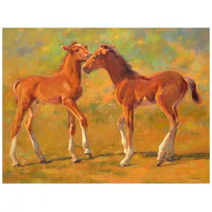 Twee speelse jonge veulens