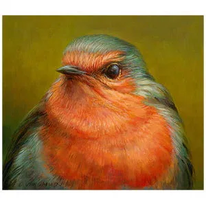 Portret van een Roodborst