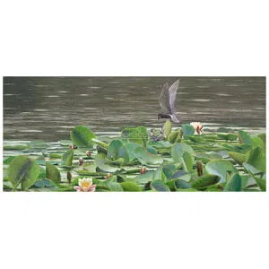 een vogel die over waterlelies in een vijver vliegt