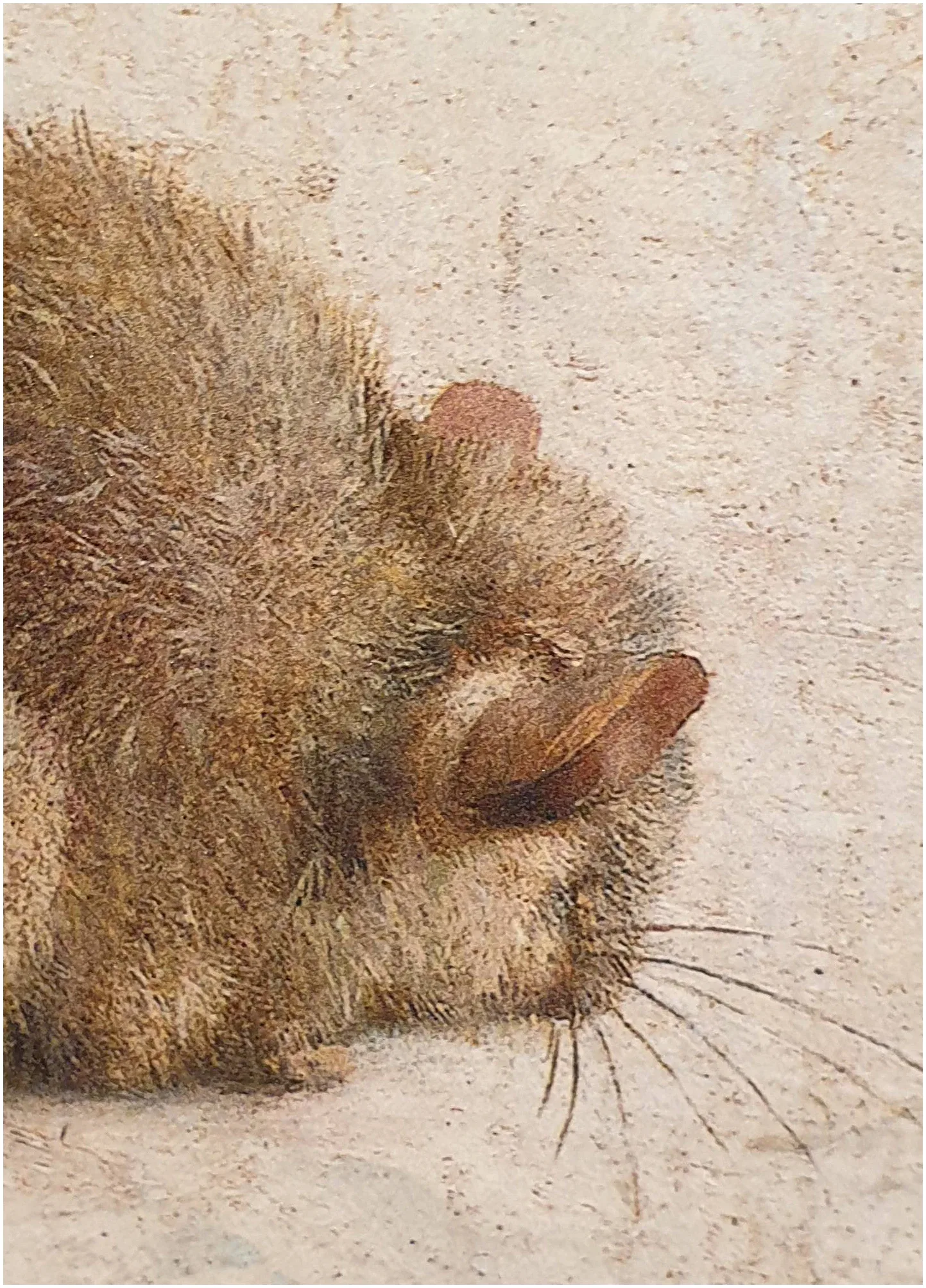 een schilderij van een harig dier dat op de grond ligt