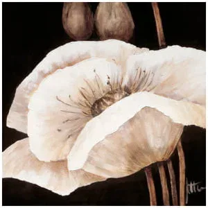 een schilderij van twee witte bloemen op een zwarte achtergrond