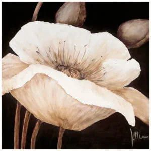 een schilderij van een witte bloem op een zwarte achtergrond