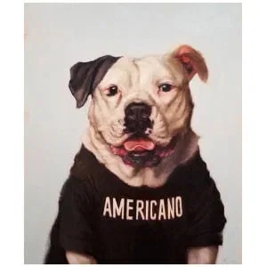 een schilderij van een hond die een americano-shirt draagt
