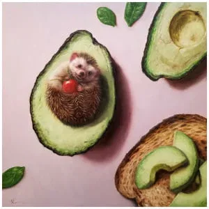 een egel in een doormidden gesneden avocado