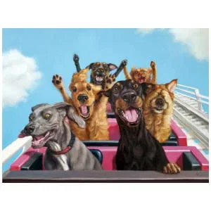 een groep honden die bovenop een achtbaan rijden