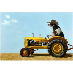 een hond die achterop een gele tractor rijdt