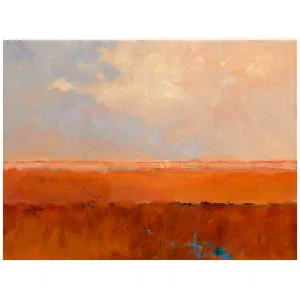 een abstract schilderij van bruine en oranje kleuren