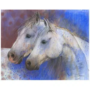 twee witte paarden die naast elkaar staan