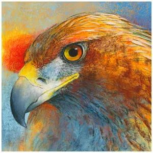 een tekening van een vogel met oranje en gele veren