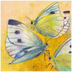 drie vlinders die op elkaar zitten