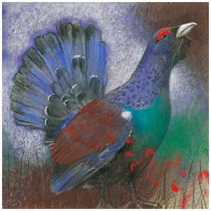 een tekening van een kleurrijke vogel met rode en blauwe veren