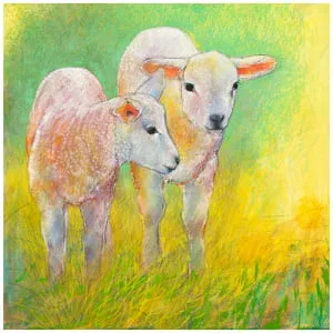 twee lammeren staan ​​in het gras op een zonnige dag