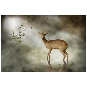 een hert dat op een rots naast een boom staat