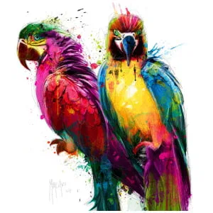 twee kleurrijke papegaaien die op elkaar zitten