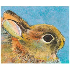 een gekleurde tekening van het gezicht van een konijn