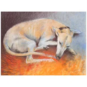 een tekening van een hond die op de grond ligt