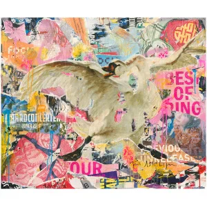 een collage van verschillende afbeeldingen en woorden met een vogel