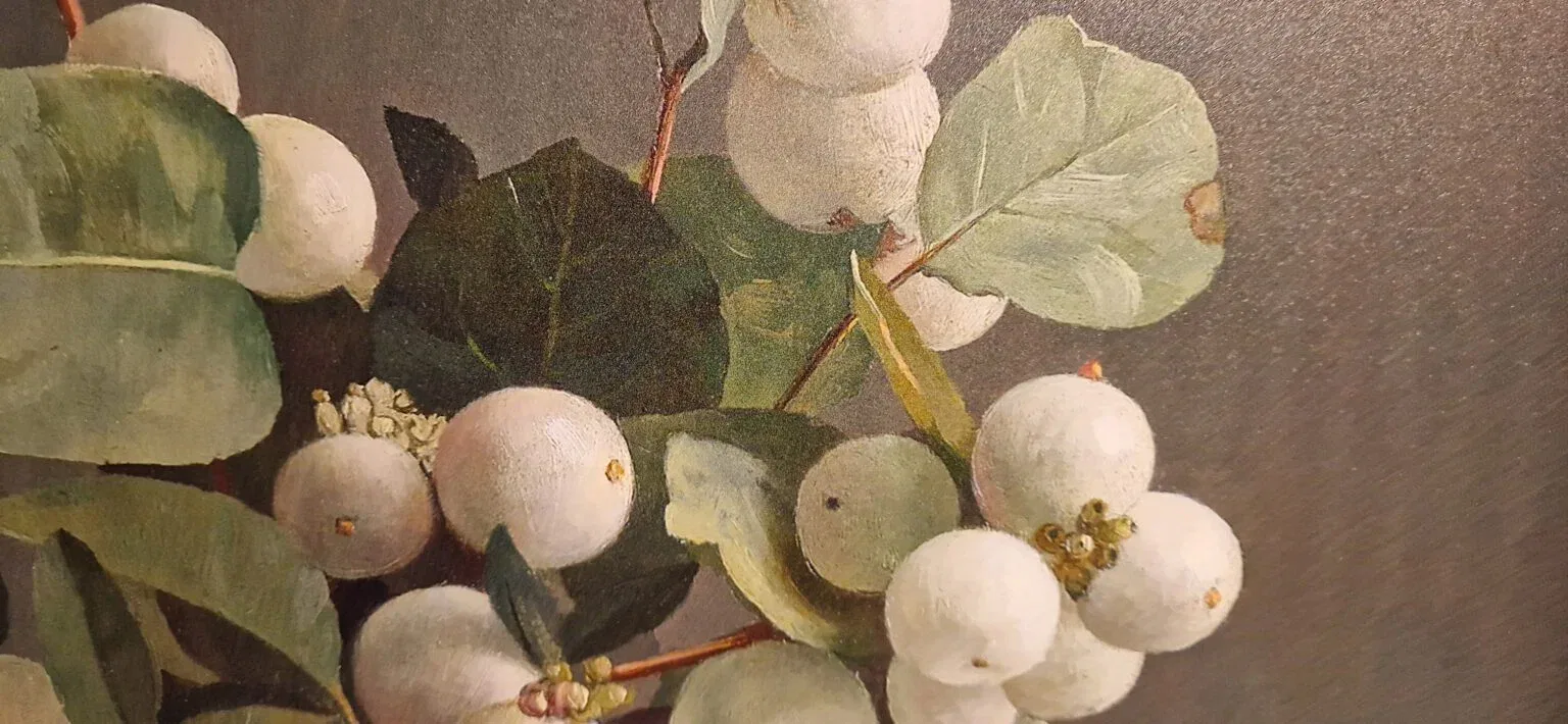 een schilderij van witte bessen en groene bladeren