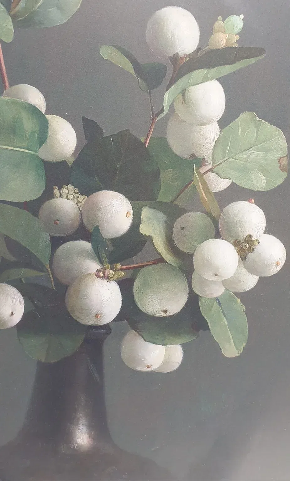 een vaas gevuld met witte bloemen en groene bladeren