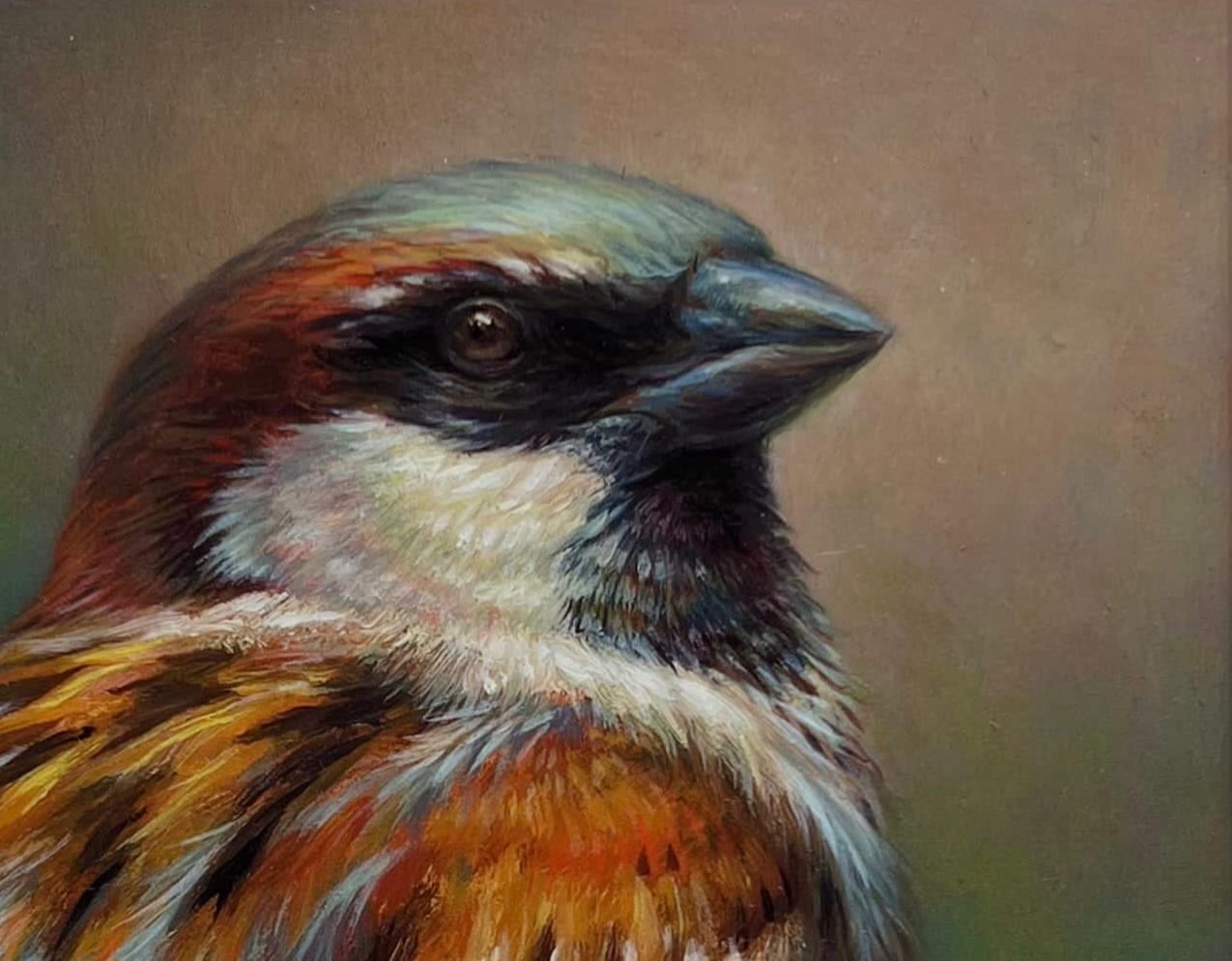 Erik van Ommen, Portret van een huismus, detail G