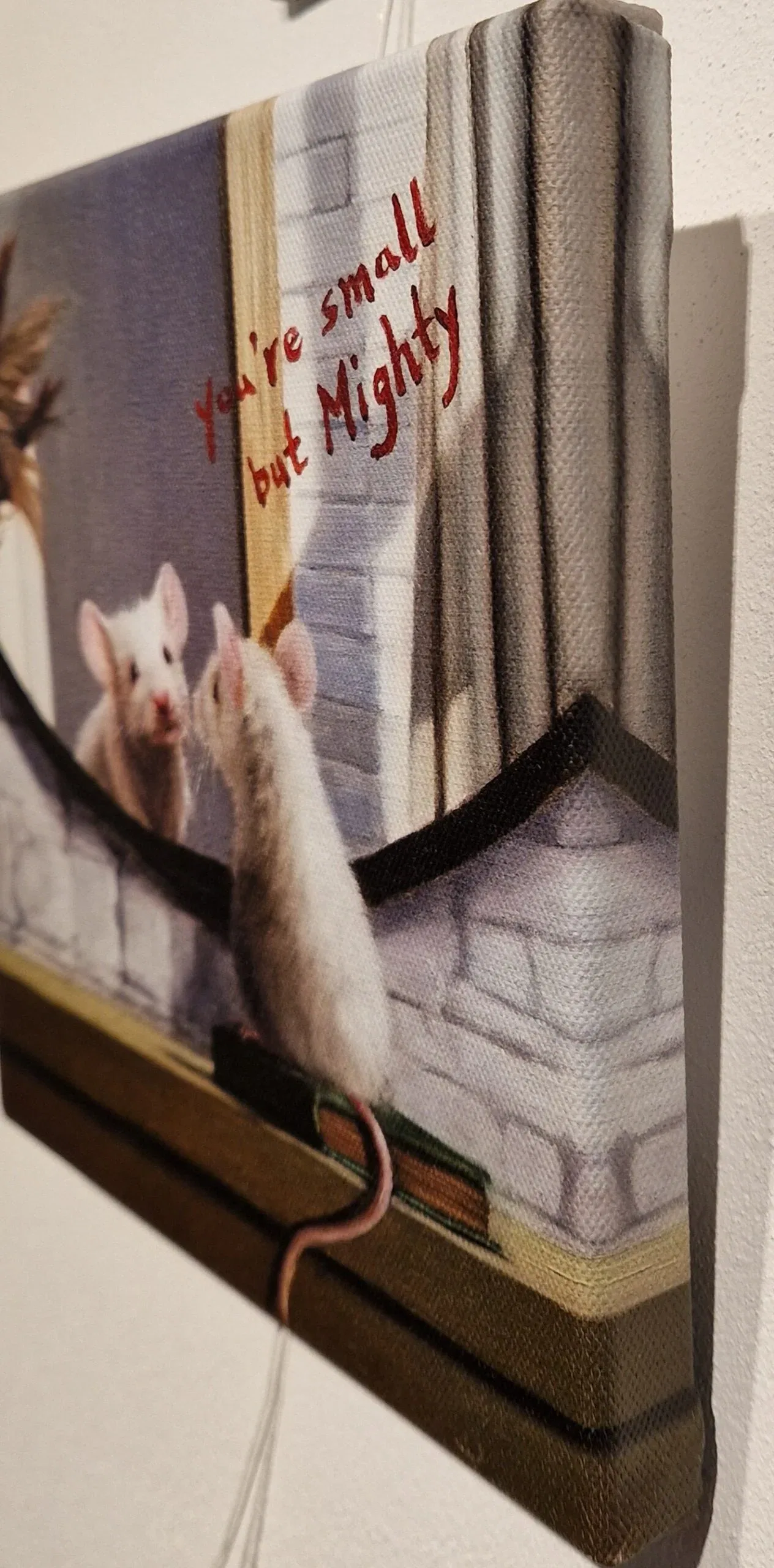 een muis en een rat op een muur