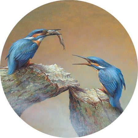 ArtCircle, Erik van Ommen, Voerende ijsvogels, V