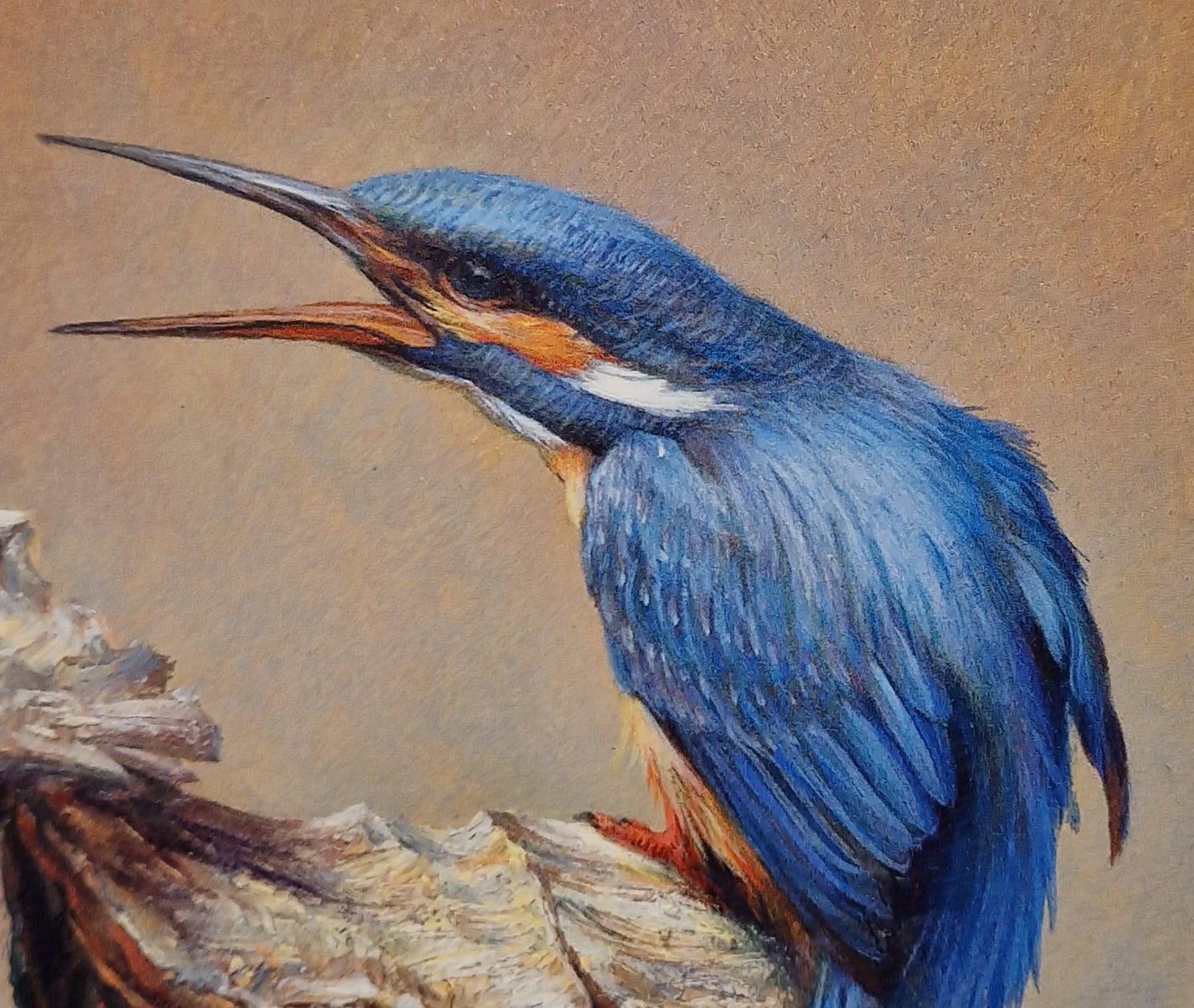 ArtCircle, Erik van Ommen, Voerende ijsvogels, detail DBI