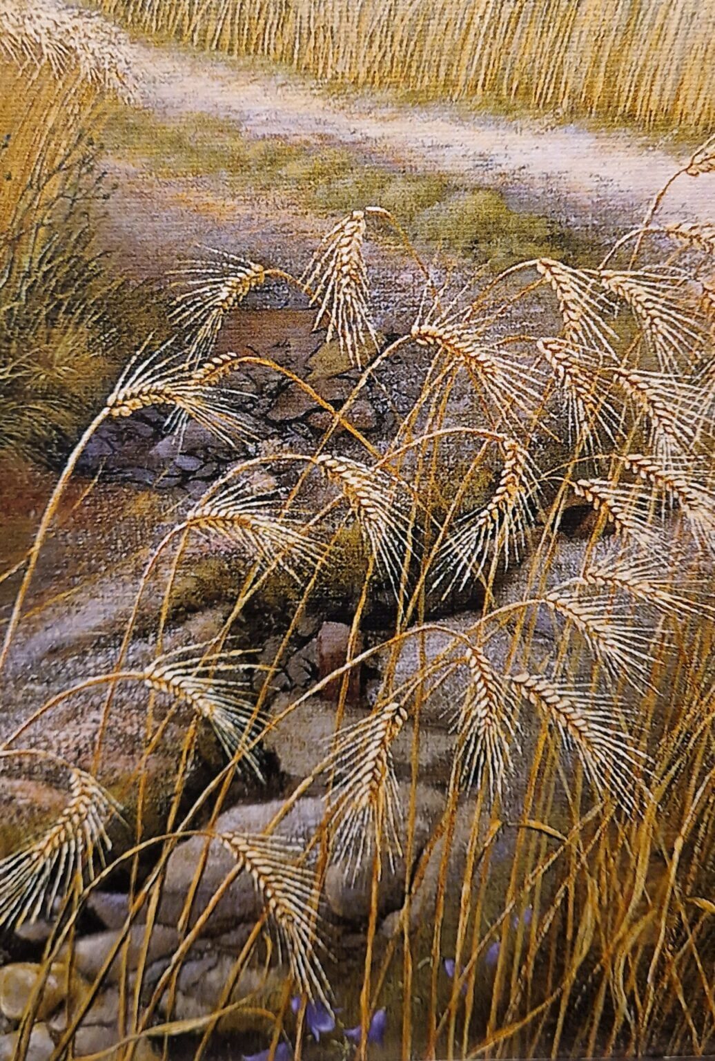 Patrick Creyghton, korenvelden, detail G