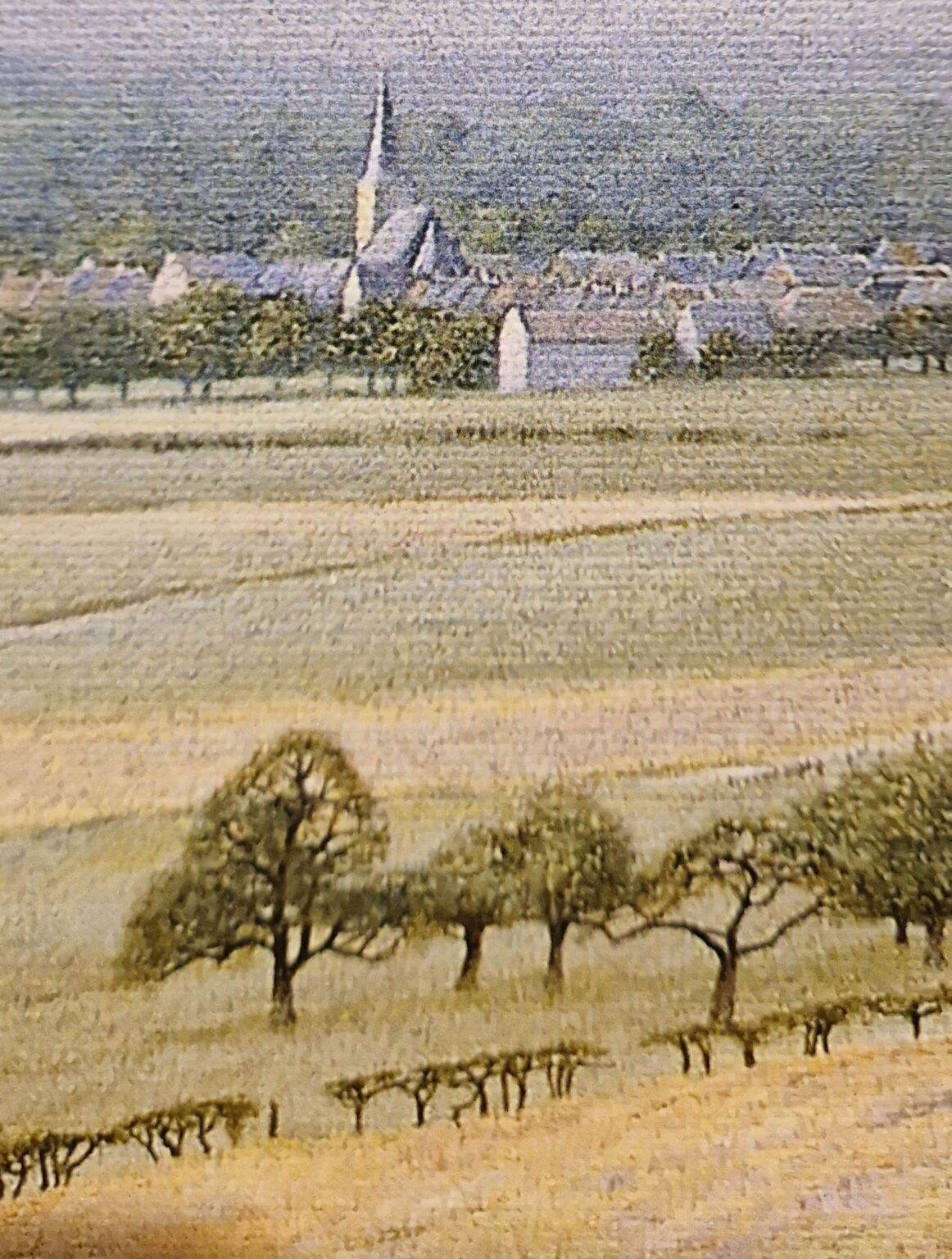 Patrick Creyghton, korenvelden, detail GI